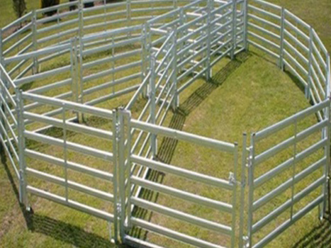 Cow Gate In Frame(图1)