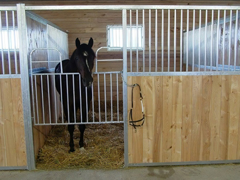 Horse Gate in Frame(图3)