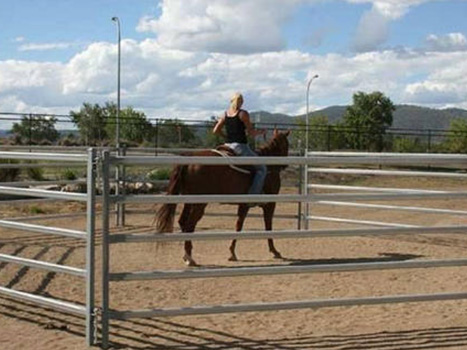 Horse Gate in Frame(图4)