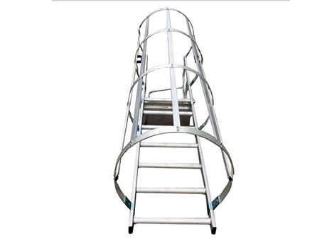 Fixed Steel Caged Ladders Safety Vertical Metal Climbing Access for Construction(图2)